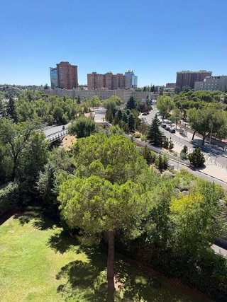 Piso en alquiler en Castilla en Madrid