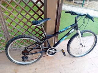 Bicicleta Infantil 20 Pulgadas