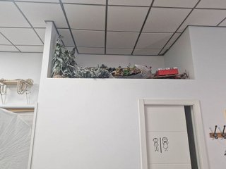 Local comercial en alquiler en Valdespartera - Arcosur en Zaragoza