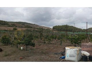 Terreno en venta en Paterna de Rivera
