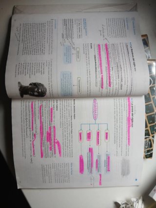Lengua y Literatura, 4 ESO, Operación mundo