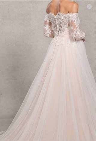 Vestido de Novia con Velo