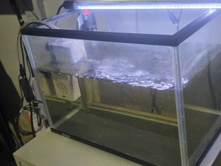 Peceras y productos