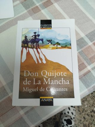 Don Quijote de La Mancha