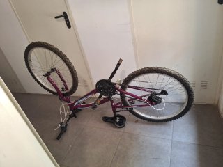 Bicicleta de Montaña Morada