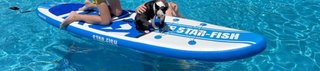 Tabla Paddle Surf Hinchable Star-Fish