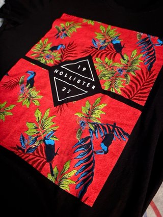 Camiseta Hollister Negra con Estampado