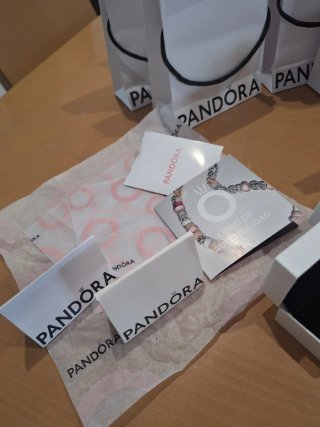Lote Cajas y Bolsas Pandora