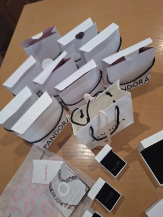Lote Cajas y Bolsas Pandora