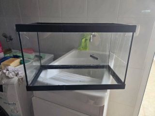 Acuario de cristal de 20 litros