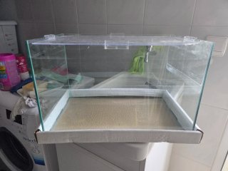 Acuario de cristal de 27 litros
