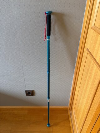 Baston montaña Decathlon azul