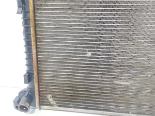 RADIADOR AGUA 17117570821