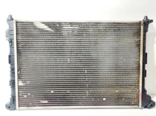 RADIADOR AGUA 17117570821