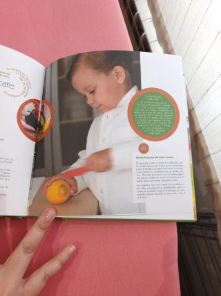 Libro de Recetas Babycook Book