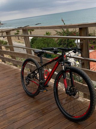 Bicicleta de Montaña Specialized
