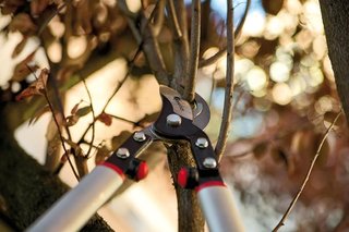 Forbici da potatura Green>it 60cm