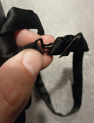 Papillon nero