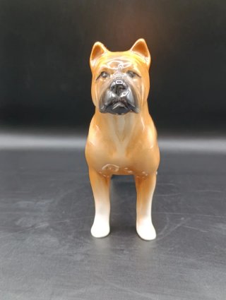 Figura Perro Boxer Porcelana Inglesa