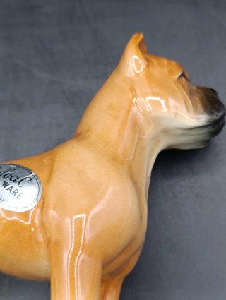 Figura Perro Boxer Porcelana Inglesa