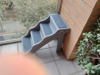 Escalera para mascotas gris