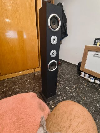 Altavoz de Torre Negro