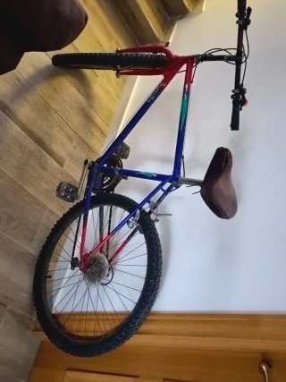 Bicicleta Mentor Montaña en pleno uso.