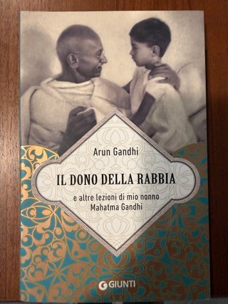 Il dono della rabbia e altre lezioni di mio non...