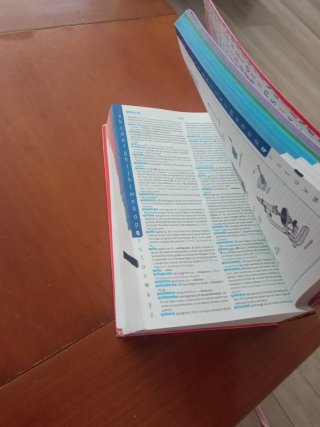 Diccionario avanzado primaria: lengua española