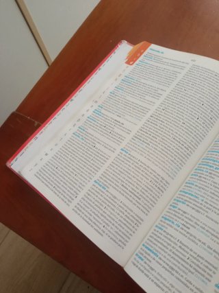 Diccionario avanzado primaria: lengua española
