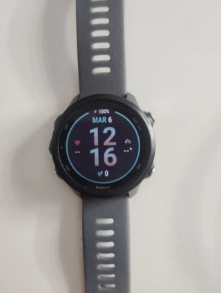 Garmin Forerunner 245