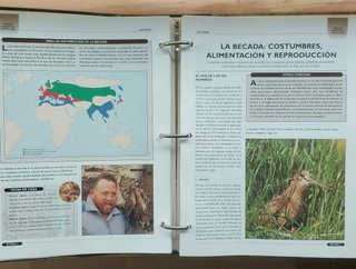 Guía práctica de la caza RBA – Colección completa