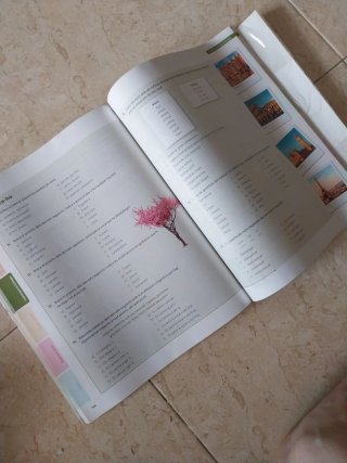 Puntal, Llengua catalana i Literatura, 1 ESO