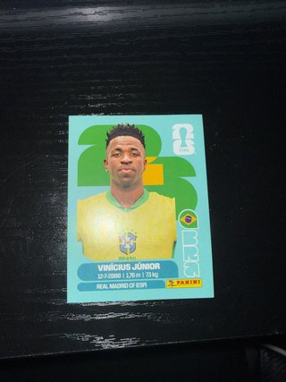 Cromos Vini Jr. Mundial Panini
