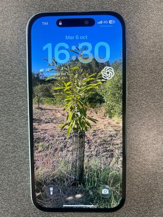 iPhone 15 verde 128 GB impecable, con caja – 350 €