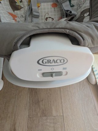 Graco Duet Sway Hamaca y Columpio