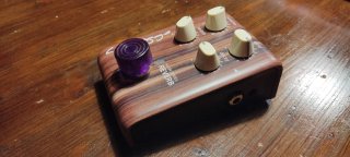 LR Baggs Align Series Reverb Pedal