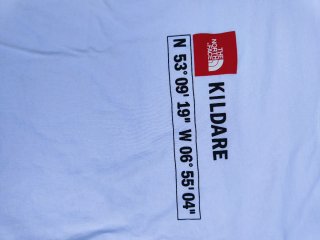 Camiseta The North Face Kildare