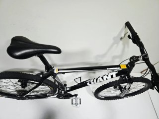 Giant Terrago L