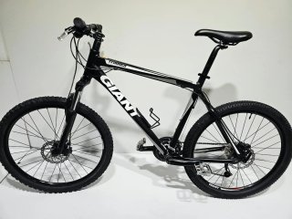 Giant Terrago L