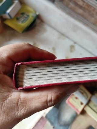 Álbum de sellos clasificador con sellos España