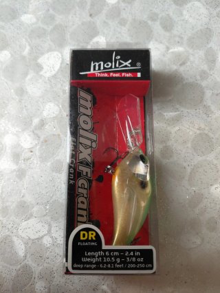 Esca Molix F Crank DR Floating