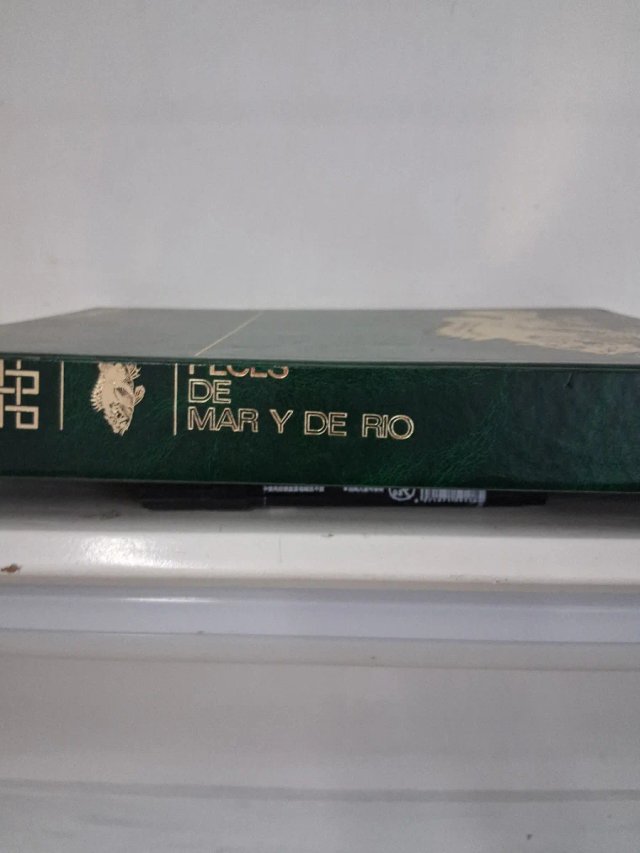 Libro de : PECES DE MAR Y RIO