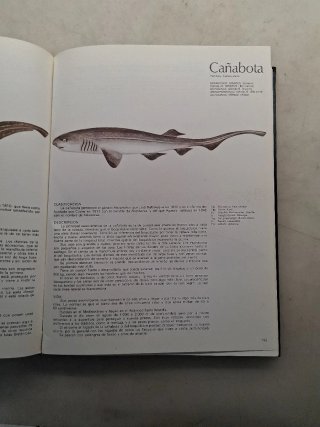 Libro de : PECES DE MAR Y RIO