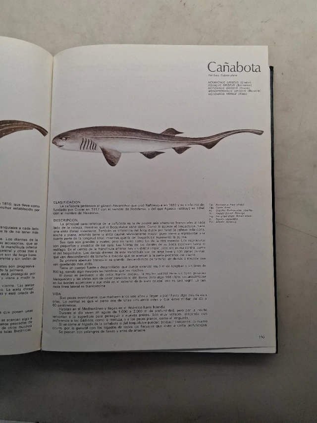 Libro de : PECES DE MAR Y RIO