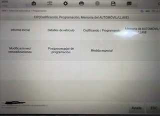 Diagnosis profesional y Codificación a Domicilio