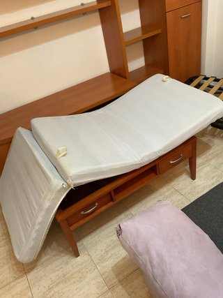 Sofá Cama con Estructura de Madera