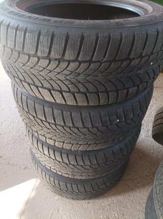 Neumáticos Invierno 225/55 R17 Dunlop