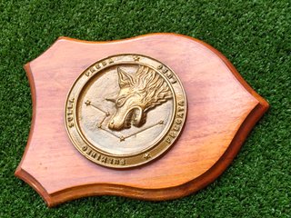 Crest Marina Militare FREGATA LUPO originale