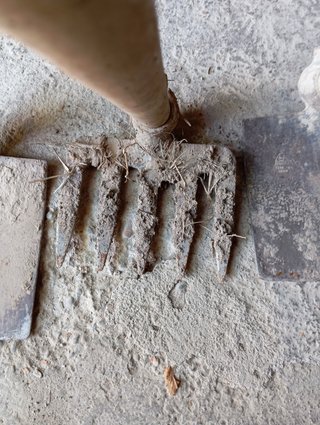 2 Xapo y rastrillo de jardín